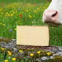 pfefferkäse3.webp