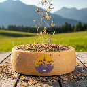 blütenkäse4.webp
